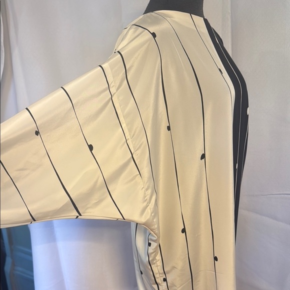 Vintage Elegant Black and Cream Striped Dress with bat wing arms and side slits - Picture 2 of 7